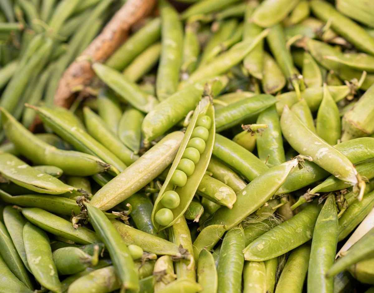 Green Peas